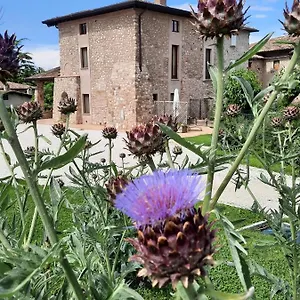 Farma Corte Davini, Monzambano